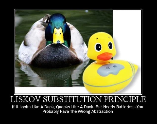 Liskov Substitution Principle Meme